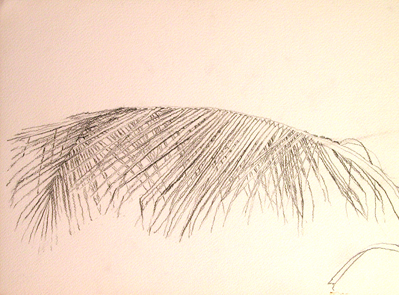 Click image for a larger version