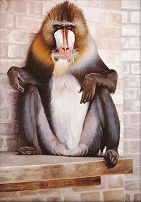 Snaggletooth..(click to view a larger version)