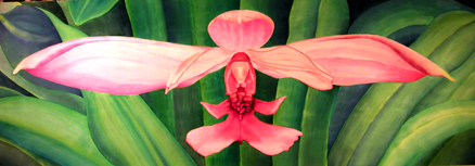 Click image for a larger version