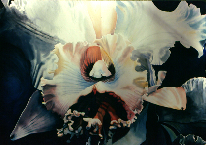 Click image for a larger version