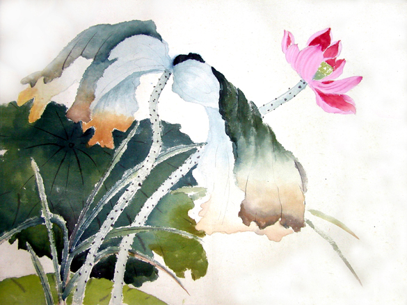Lotus Study 1