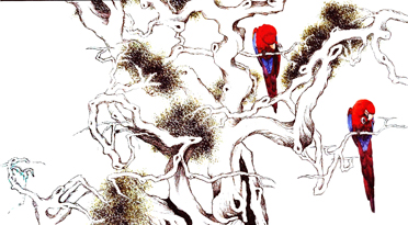 Click to view a larger version