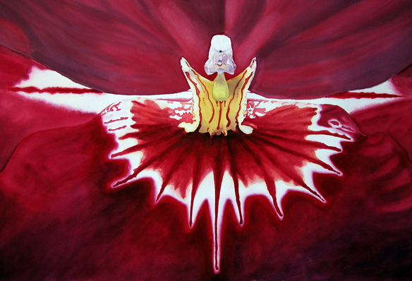 Sorcerer's Apprentice