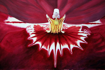 Click image for a larger version