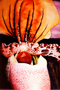 Click image for a larger version