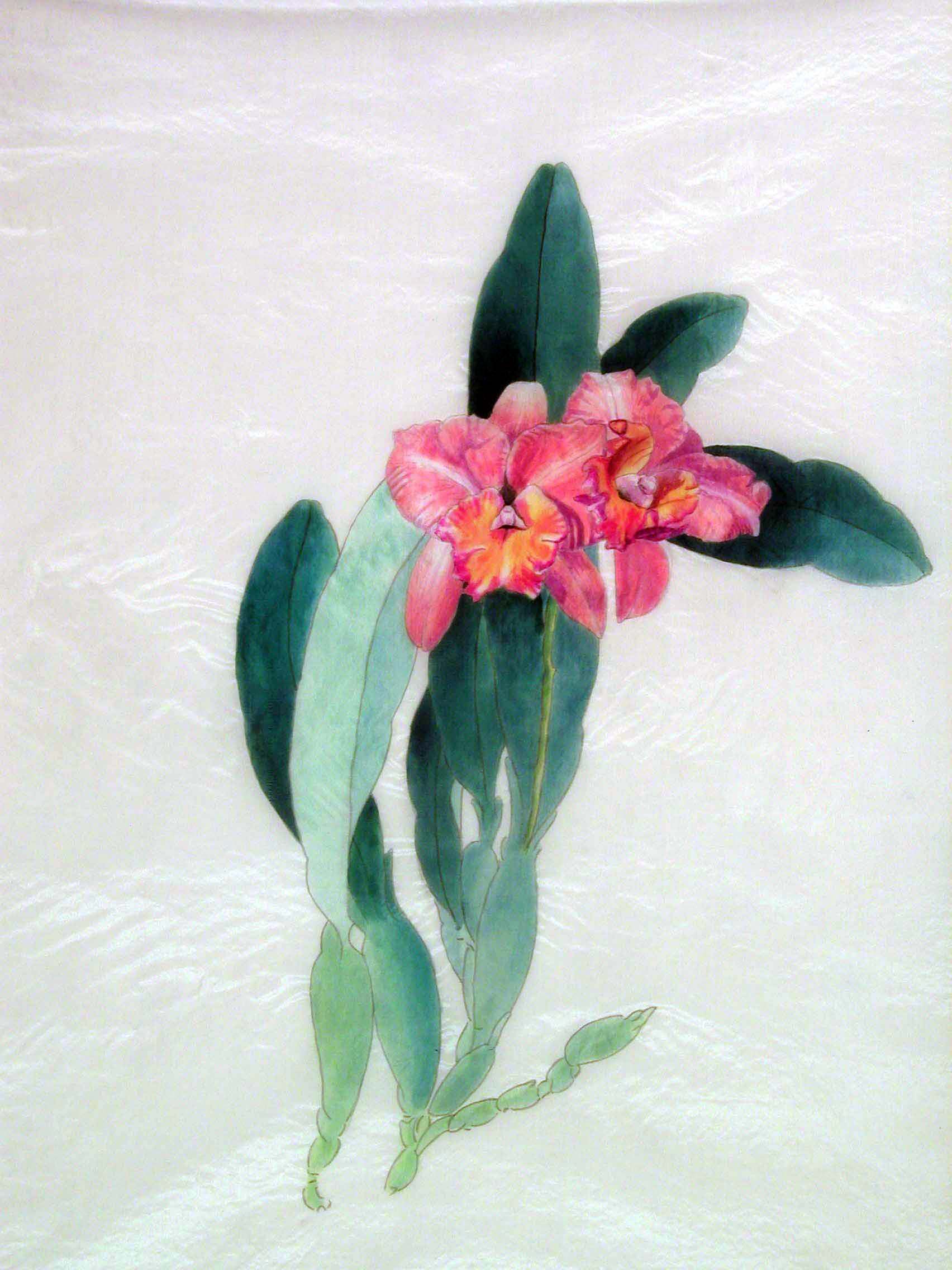 Two Orchids with Leaves