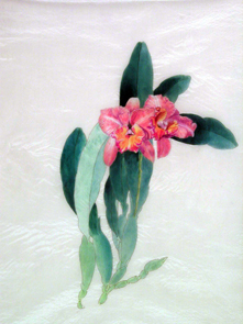 Click image for a larger version