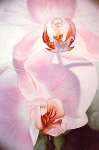 Click image for a larger version